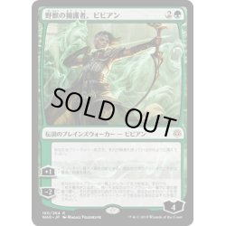 画像1: (FOIL)野獣の擁護者、ビビアン/Vivien, Champion of the Wilds《日本語》【WAR】