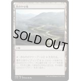 [EX+]灰のやせ地/Ash Barrens《日本語》【Commander 2016】