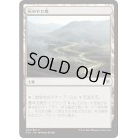 [EX+]灰のやせ地/Ash Barrens《日本語》【Commander 2016】