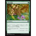 自然の要求/Nature's Claim《日本語》【EMA】