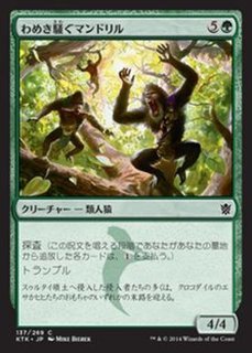 タルキール覇王譚 - カードラッシュ[MTG]