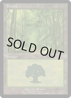 European Lands - カードラッシュ[MTG]