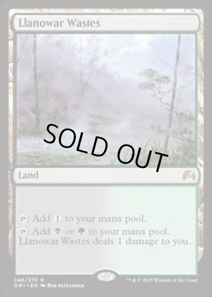 画像1: ラノワールの荒原/Llanowar Wastes《英語》【ORI】 (1)