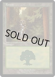 European Lands - カードラッシュ[MTG]