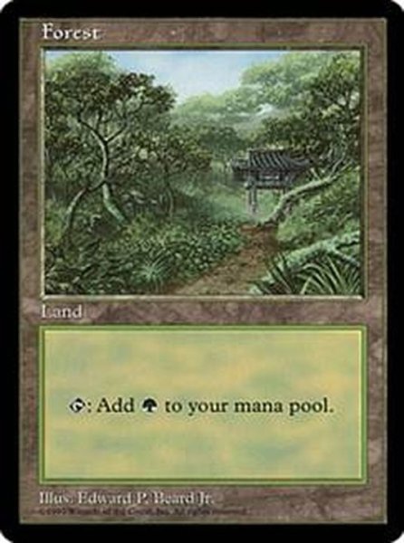 画像1: [PLD]森/Forest《英語》【APAC3】 (1)