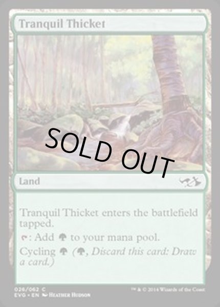 画像1: [EX+]平穏な茂み/Tranquil Thicket《英語》【Duel Decks: Anthology】 (1)