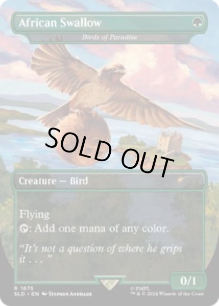 画像1: (FOIL)(1675)African Swallow　//　極楽鳥/Birds of Paradise《英語》【SLD】 (1)