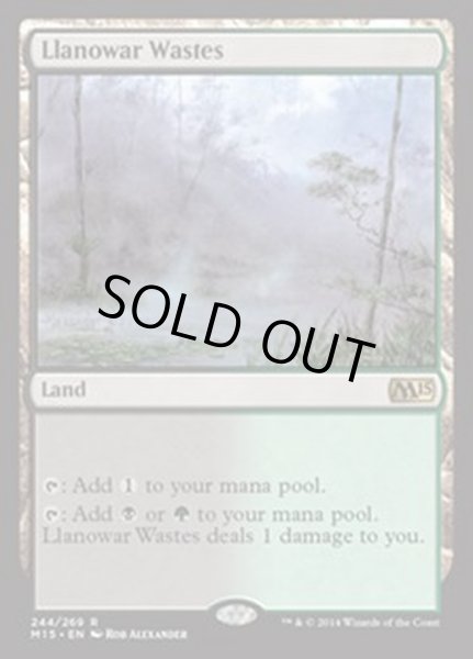 画像1: [EX+]ラノワールの荒原/Llanowar Wastes《英語》【M15】 (1)