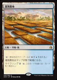 灌漑農地 Irrigated Farmland 英語 Akh
