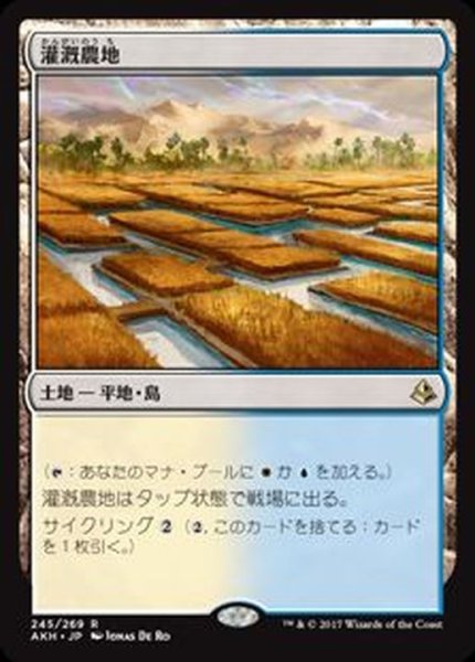 画像1: 灌漑農地/Irrigated Farmland《日本語》【AKH】 (1)