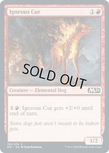 画像1: [EX+](FOIL)炎血の野犬/Igneous Cur《英語》【M21】 (1)