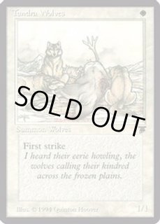 Tundra - カードラッシュ[MTG]