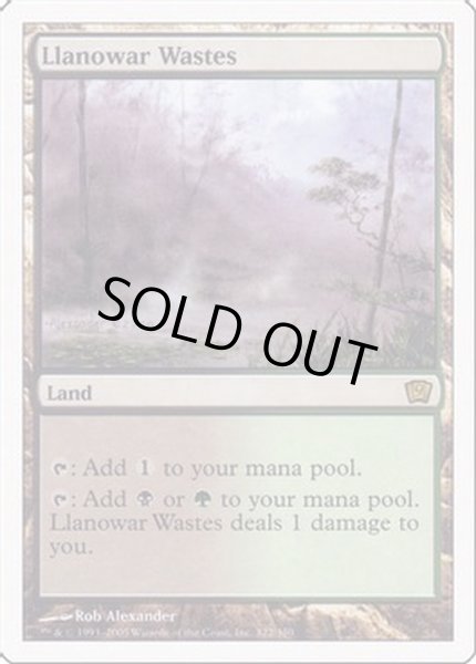 画像1: [EX+]ラノワールの荒原/Llanowar Wastes《英語》【9ED】 (1)