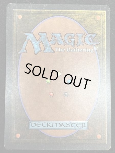 画像3: [PLD]Library of Alexandria《英語》【ARN】#41 (3)