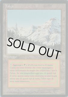 Taiga - カードラッシュ[MTG]