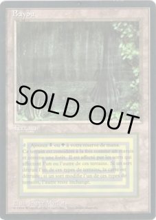 Bayou - カードラッシュ[MTG]