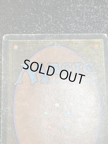 画像6: [POOR](サイン)Library of Alexandria《英語》【ARN】#209 (6)