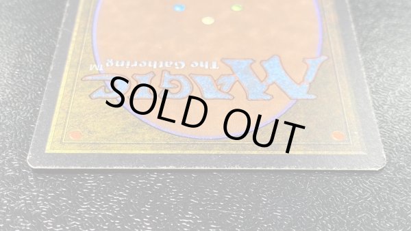 画像6: [PLD]Juzam Djinn《英語》【ARN】#173 (6)