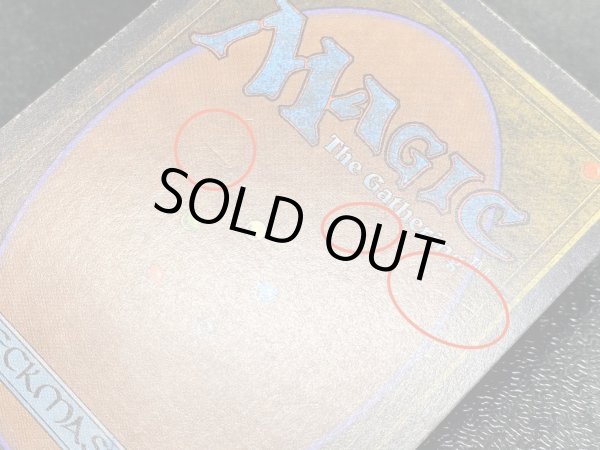 画像9: [PLD]Juzam Djinn《英語》【ARN】#173 (9)