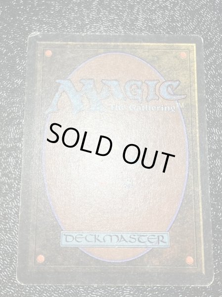 画像5: [PLD]Time Walk《英語》【2ED】#200 (5)