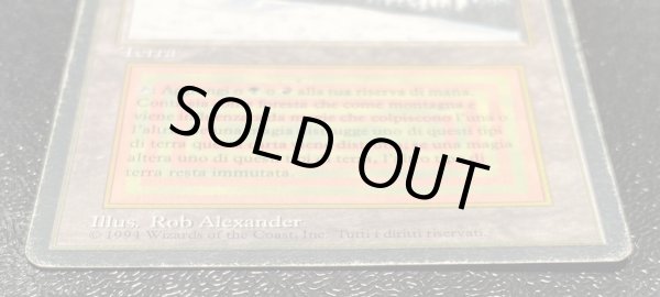 画像5: [HPLD]Taiga《イタリア語》【3ED(FBB)】#98 (5)