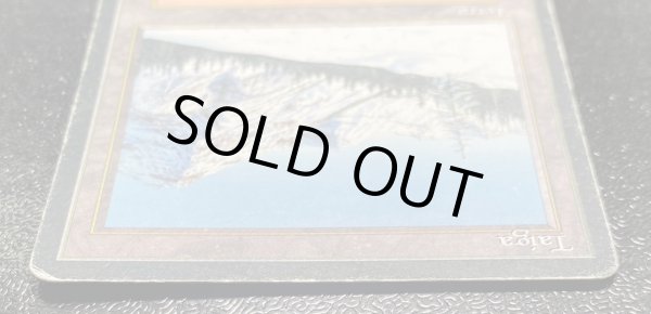 画像4: [HPLD]Taiga《イタリア語》【3ED(FBB)】#98 (4)