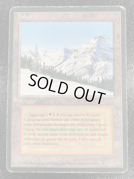 画像2: [HPLD]Taiga《イタリア語》【3ED(FBB)】#98 (2)