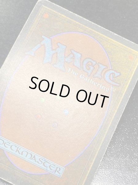 画像9: [HPLD]Taiga《イタリア語》【3ED(FBB)】#98 (9)