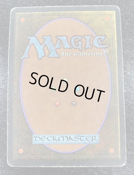 画像3: [HPLD]Taiga《イタリア語》【3ED(FBB)】#98 (3)