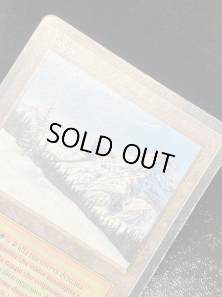 画像8: [HPLD]Taiga《イタリア語》【3ED(FBB)】#98 (8)