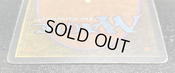 画像6: [HPLD]Taiga《イタリア語》【3ED(FBB)】#98 (6)