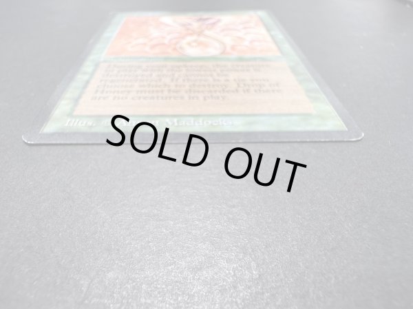 画像5: [EX]Drop of Honey《英語》【ARN】#151 (5)