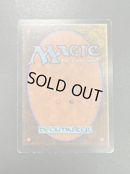 画像3: [PLD]Argivian Archaeologist《英語》【ATQ】#111 (3)