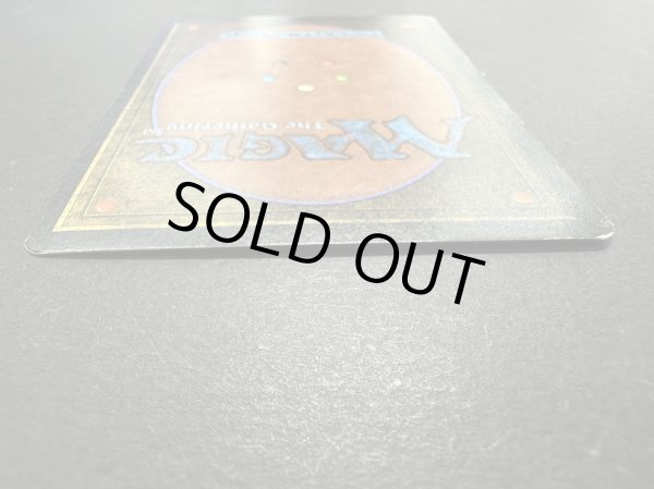 画像6: [PLD]Drop of Honey《英語》【ARN】#150 (6)