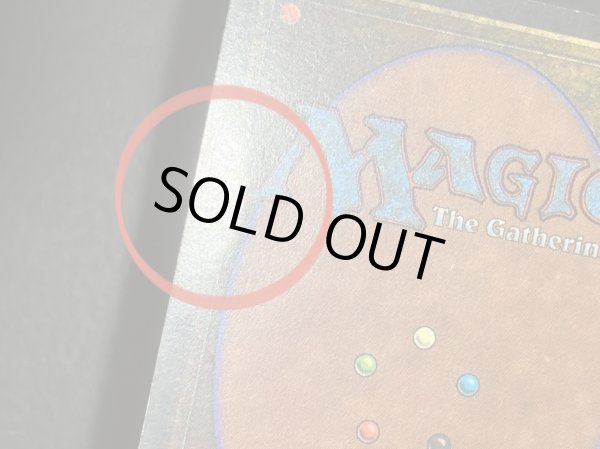 画像9: [PLD]Argivian Archaeologist《英語》【ATQ】#111 (9)