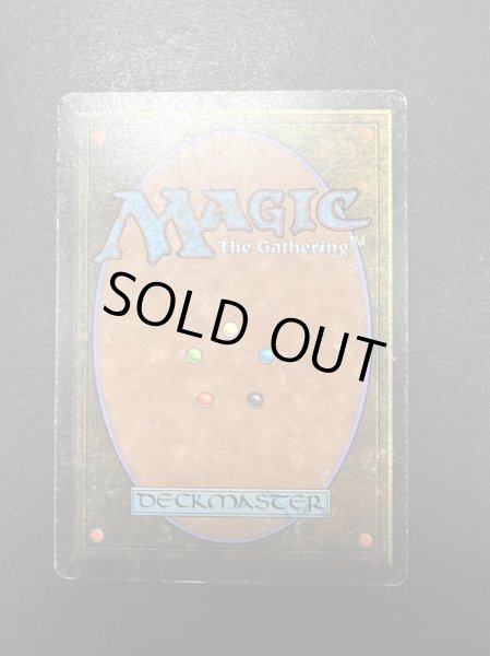 画像3: [HPLD]Library of Alexandria《英語》【ARN】#132 (3)