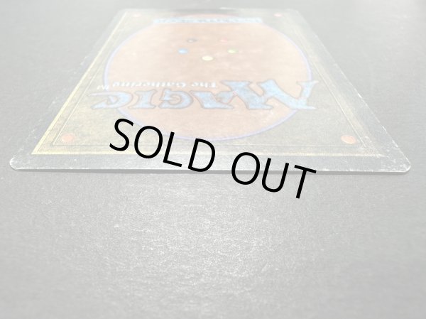 画像6: [HPLD]Library of Alexandria《英語》【ARN】#132 (6)