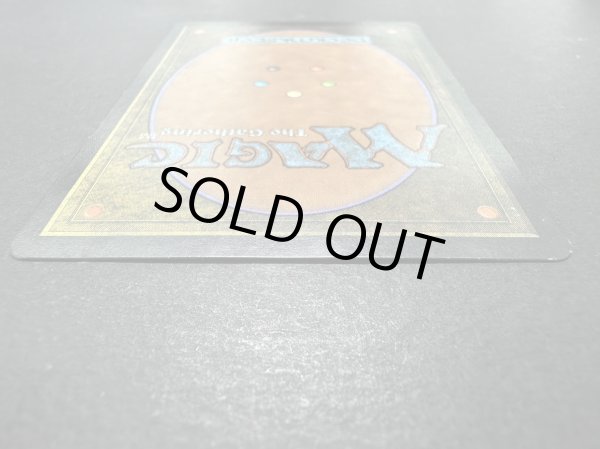 画像6: [HPLD]平地/Plains《英語》【Guru Lands】#82 (6)