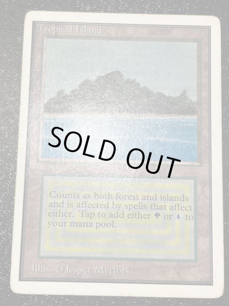 HPLD]Tropical Island《英語》【2ED】#118