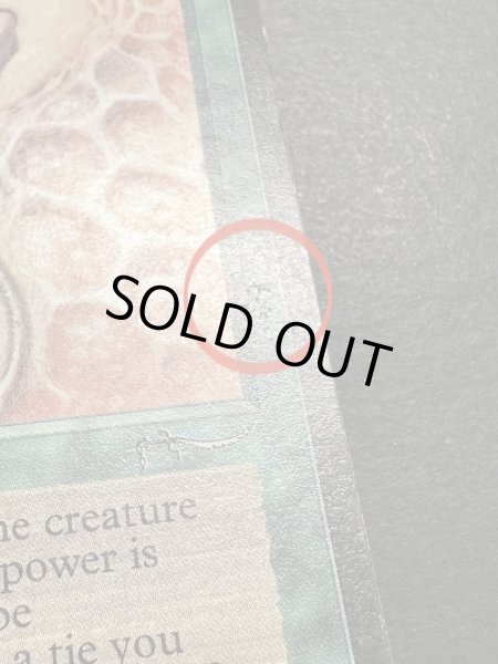 画像8: [PLD]Drop of Honey《英語》【ARN】#150 (8)