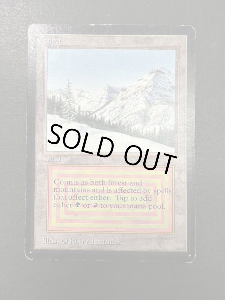 画像2: [HPLD](インク)Taiga《英語》【LEB】#153 (2)