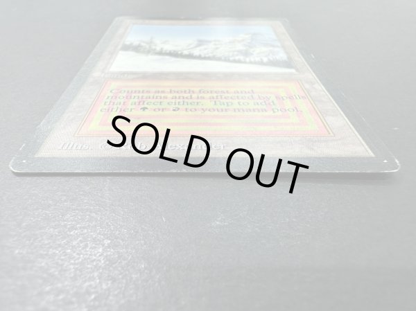 画像5: [HPLD](インク)Taiga《英語》【LEB】#153 (5)