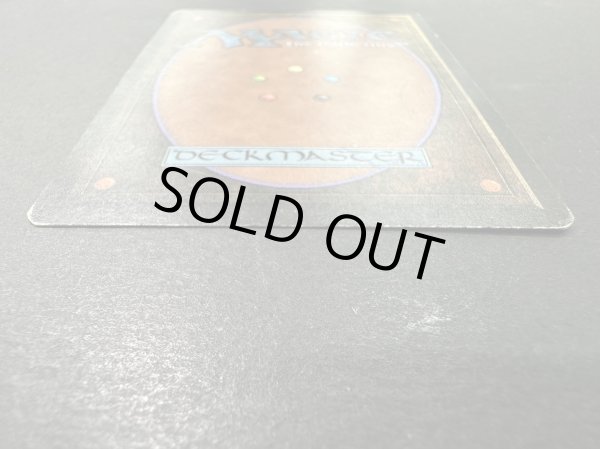 画像7: [HPLD](インク)Taiga《英語》【LEB】#153 (7)