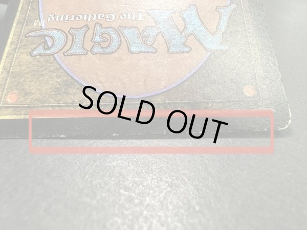 画像8: [HPLD](インク)Taiga《英語》【LEB】#153 (8)