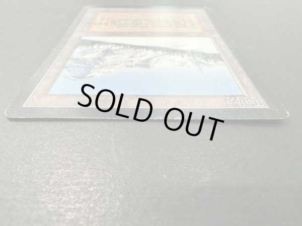 画像4: [HPLD](インク)Taiga《英語》【LEB】#153 (4)