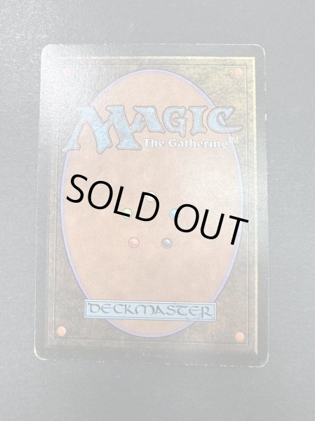 画像3: [HPLD](インク)Taiga《英語》【LEB】#153 (3)