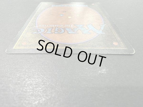 画像6: [HPLD](インク)Taiga《英語》【LEB】#153 (6)