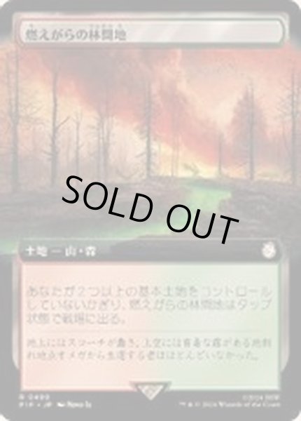 画像1: [EX+](サージFOIL)(フルアート)燃えがらの林間地/Cinder Glade《日本語》【PIP】 (1)