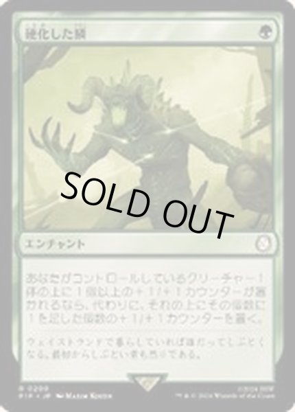 画像1: 硬化した鱗/Hardened Scales《日本語》【PIP】 (1)