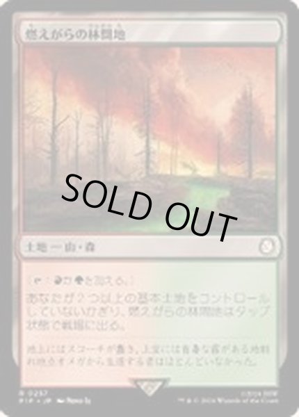 画像1: [EX+](FOIL)燃えがらの林間地/Cinder Glade《日本語》【PIP】 (1)